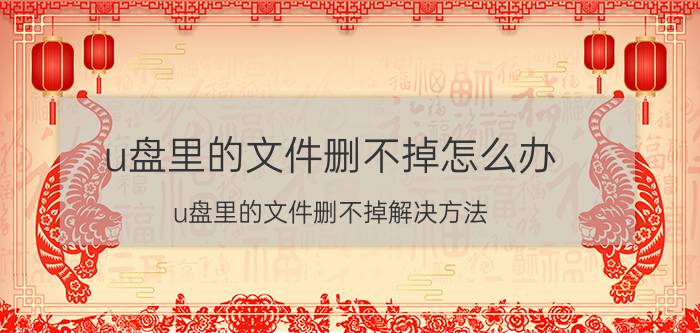 u盘里的文件删不掉怎么办 u盘里的文件删不掉解决方法